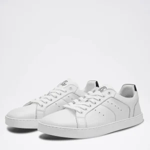 Herren Groundies Sneaker*® Universe Men